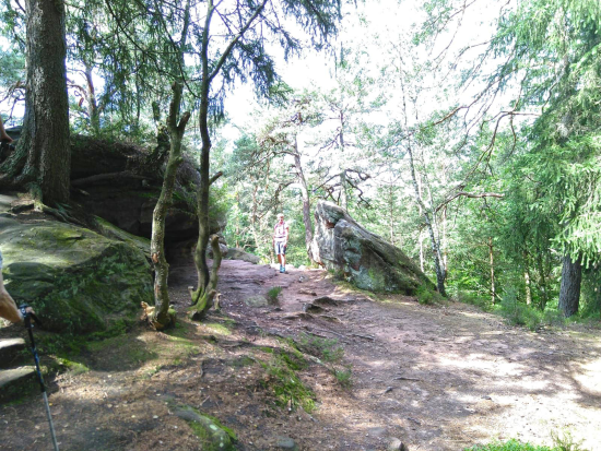 Felsenwald-Tour_Juni_2021